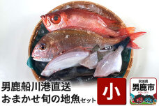 男鹿船川港直送おまかせ旬の地魚セット（小）秋田県 男鹿市 萬漁水産|10117
