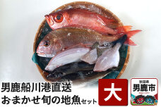 男鹿船川港直送おまかせ旬の地魚セット（大）秋田県 男鹿市 萬漁水産|10118