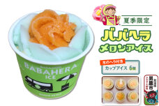 夏季限定 ババヘラ・メロンバラ盛りカップアイス6個セット【進藤冷菓】7月より順次発送 …|10159