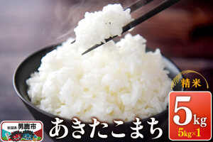 令和7年産 あきたこまち （精米）5kg（5kg×1袋）1回のみお届け スズキファーム|10487