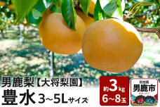 【先行受付】男鹿梨 「大将梨園」豊水 約3kg 6〜8玉 3〜5L 梨 秋田県 男鹿市|10310
