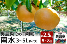 【先行受付】男鹿梨 「大将梨園」南水 約2.5kg 5〜8玉 3〜5L 梨 秋田県 男…|10311