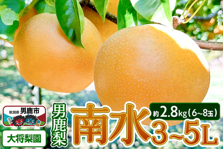 【先行受付】2026年10月上旬〜下旬発送 男鹿梨「大将梨園」南水 約2.8kg 6〜…|10311