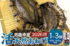 《2026年7月中旬〜8月下旬発送》男鹿産天然鮑 2個 (約250〜280g) あわび…|10130