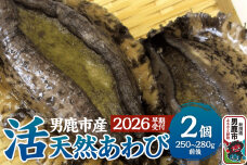 《2026年7月中旬〜8月下旬発送》男鹿産天然鮑 1〜3個 (約450〜500g) あ…|10131