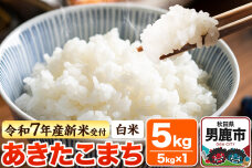 ＜令和7年産新米受付＞【白米】あきたこまち 5kg|10389