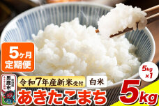 ＜令和7年産新米受付＞《定期便5ヶ月》【白米】あきたこまち 5kg|10445
