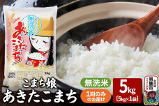 令和7年産『こまち娘』あきたこまち 無洗米 5kg×1袋 吉運商店 秋田県 男鹿市 お…|10017