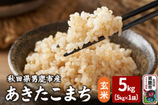 令和7年産 あきたこまち 玄米 5kg 吉運商店 秋田県 男鹿市 お米 お弁当 おにぎり|10033