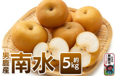 《先行受付》南水 約5kg 10月中旬〜11月中旬発送 梨 旬の果物 ギフト 秋田県 …|10974
