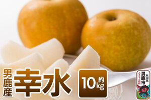 【令和8年度 早期受付】幸水 約10kg 9月上旬〜9月中旬発送 梨 旬の果物 ギフト…|10975