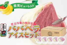 アイス 児玉冷菓のババヘラアイスセット 2色5個入 プレミアムいちご＆バナナ|10978