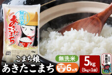 《定期便6ヶ月》『こまち娘』あきたこまち 無洗米 5kg×1袋 |10019