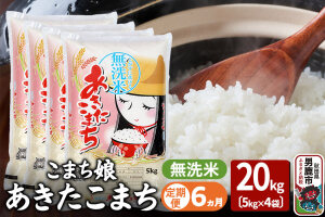 《定期便6ヶ月》『こまち娘』あきたこまち 無洗米 20kg（5kg×4袋）|10031