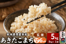 令和7年産《定期便6ヶ月》あきたこまち 玄米 5kg（5kg×1袋） 吉運商店 秋田県…|11079