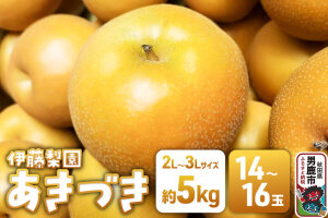 【先行受付】 男鹿梨 あきづき 梨 約5kg 「伊藤梨園」 2L〜3L 14玉〜16玉…|11229