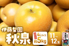 【先行受付】 男鹿梨 秋泉 梨 約5kg「伊藤梨園」  4L 11玉〜12玉 秋田県 …|11230