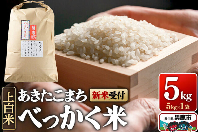 新米あきたこまち令和1年　　　5つ限定 令和5年産 新米 秋田県産あきたこまち5kg×2袋 TMMM04003 【送料込み】