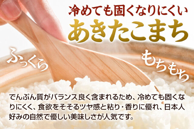 ふじあきさまご確認用！ ふるさと納税 「《令和8年産新米受付》あきたこまち5kg（5kg×1袋