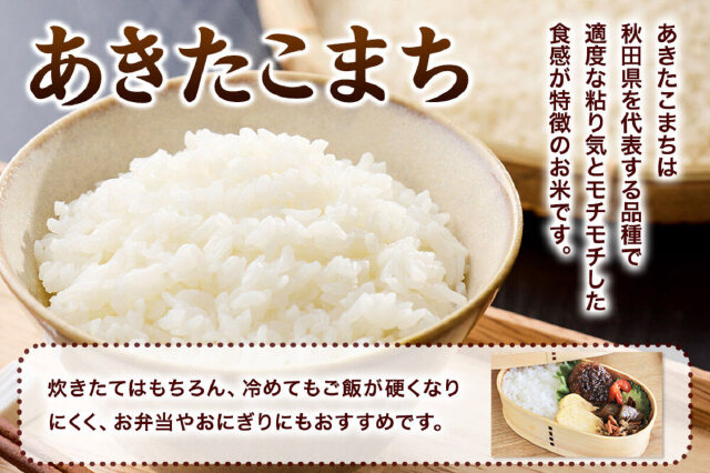 ふるさと納税 「あきたこまち ＜令和8年産 新米受付＞ 白米 10kg（5kg