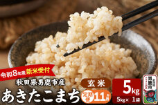 【定期便11ヶ月】 あきたこまち ＜令和8年産 新米受付＞ 玄米 5kg（5kg×1袋…|11575