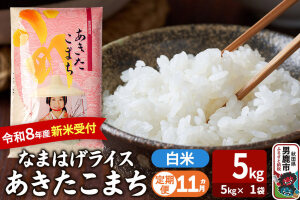 【定期便11ヶ月】 あきたこまち ＜令和8年産 新米受付＞ 『なまはげライス』 白米 …|11623