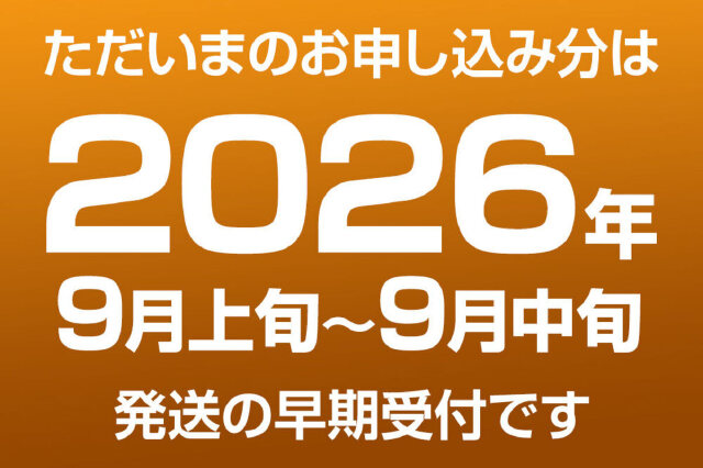 ふるさと納税 「《先行受付》梨 幸水 10kg前後（3L〜2L）28〜32玉 秋田