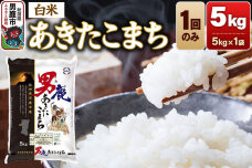 あきたこまち 精米 （白米）5kg（5kg×1袋）令和7年産 秋田食糧卸 [あきたこま…|11858