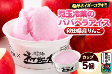 児玉冷菓のババヘラアイス×超神ネイガー コラボアイス【秋田県産りんご5個】 秋田県 男…|11927