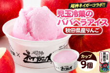 児玉冷菓のババヘラアイス×超神ネイガー コラボアイス【秋田県産りんご9個】 秋田県 男…|11928