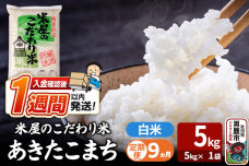 令和8年産新米《定期便9ヶ月》『米屋のこだわり米』あきたこまち 白米 （5kg×1袋）…|11016