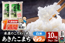 令和8年産新米《定期便9ヶ月》『米屋のこだわり米』あきたこまち 白米 10kg（5kg…|11040