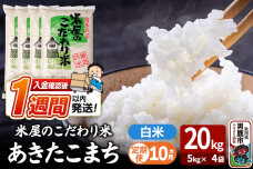 令和8年産新米《定期便10ヶ月》『米屋のこだわり米』あきたこまち 白米 20kg（5k…|10016
