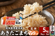 令和8年産新米《定期便9ヶ月》あきたこまち 玄米 5kg（5kg×1袋） 吉運商店 秋…|11082