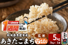 令和8年産新米《定期便10ヶ月》あきたこまち 玄米 5kg（5kg×1袋） 吉運商店 …|11083