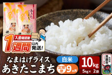 令和8年産新米《定期便9ヶ月》『なまはげライス』あきたこまち 白米 10kg（5kg×…|11144