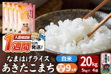 令和8年産新米《定期便9ヶ月》『なまはげライス』あきたこまち 白米 20kg（5kg×…|11168