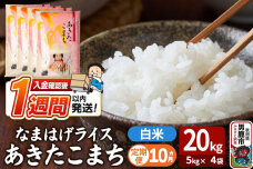 令和8年産新米《定期便10ヶ月》『なまはげライス』あきたこまち 白米 20kg（5kg…|11169