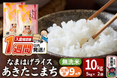 令和8年産新米《定期便9ヶ月》『なまはげライス』あきたこまち 無洗米 10kg（5kg…|11192