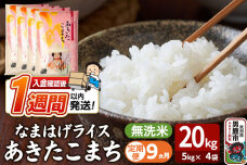 令和8年産新米《定期便9ヶ月》『なまはげライス』あきたこまち 無洗米 20kg（5kg…|11216