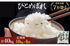 米 定期便 全4回 秋田県産 ひとめぼれ 10kg (5kg×2)×4回 計40kg 令和7年産
