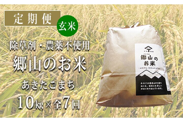 新米秋田県産あきたこまち玄米減農薬 - bookteen.net