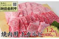 秋田由利牛 焼肉用 上カルビ 1.2kg（400g×3パック 焼き肉）