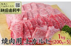 秋田由利牛 焼肉用 上カルビ 1kg（200g×5パック 焼き肉）