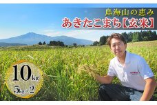 鳥海山の恵み 農家直送！ あきたこまち 10kg(5kg×2袋 玄米)