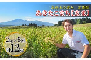 新米 米 お米 《定期便》2kg×6ヶ月 鳥海山の恵み！秋田県産 あきたこまち ひの米（玄米）計12
