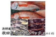 にかほ市の漁師厳選！秋田沖の旬のお魚パック！（Lサイズ・3～4人前）