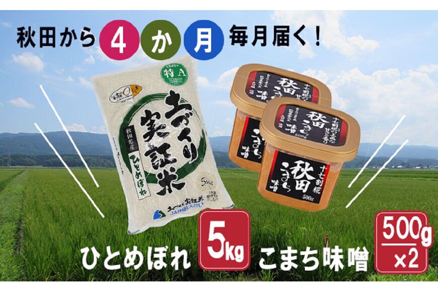 にかほ味噌 こし 750g×2個 3ヶ月定期便 小分け 3ヵ月 みそ