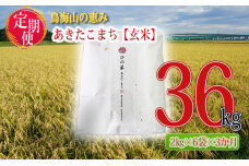 新米 米 お米 《定期便》12kg×3ヶ月 秋田県産 あきたこまち 玄米 2kg×6袋 神宿る里の米