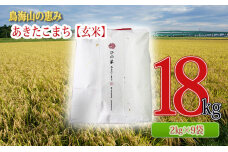 秋田県産 あきたこまち 玄米 18kg（2kg×9袋）神宿る里の米「ひの米」　5934-0135